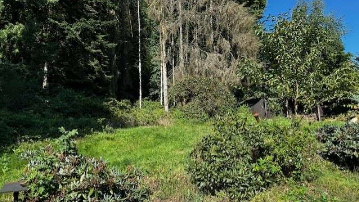 Einfamilienhaus in Erbringen mit großem Grundstück