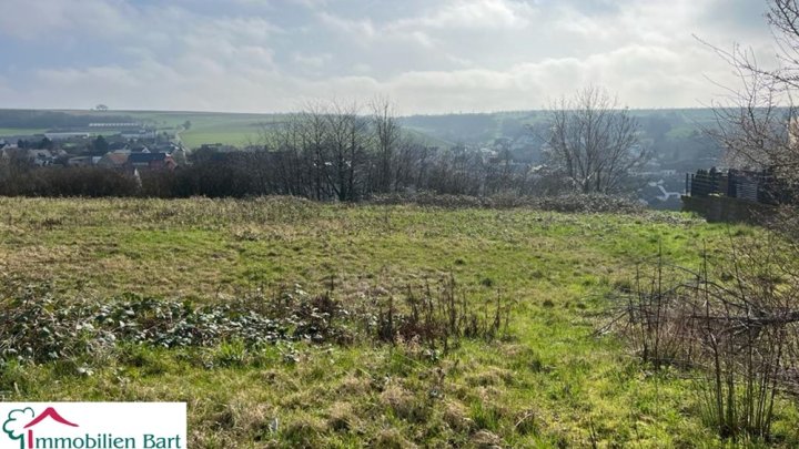 WINCHERINGEN: 348 M² WOHNFL. / 4 GARAGEN / VIEL POTENZIAL! / 27 AR