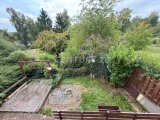 Blick in den Garten