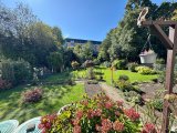 Blick in den Garten