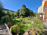 Blick in den Garten
