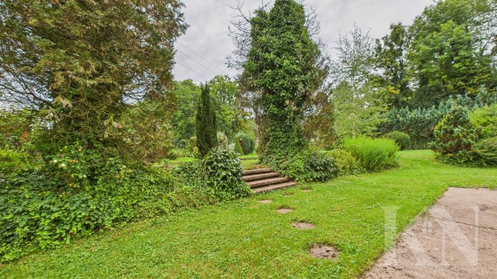 Viel Platz. Viel Grün. Viel Potenzial – Ihr neues Zuhause in Schmelz