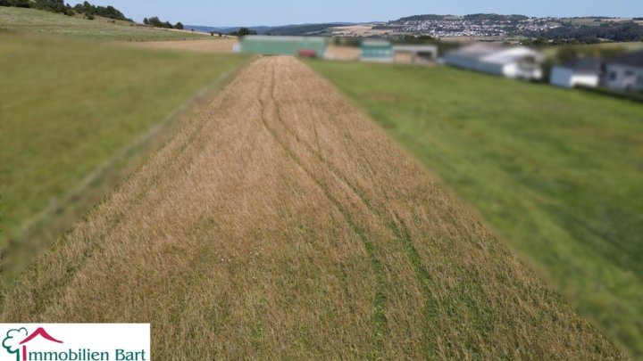 TIERFREUNDE AUFGEPASST! WOHNHAUS (200 M² WFL.) AUF 34 AR!