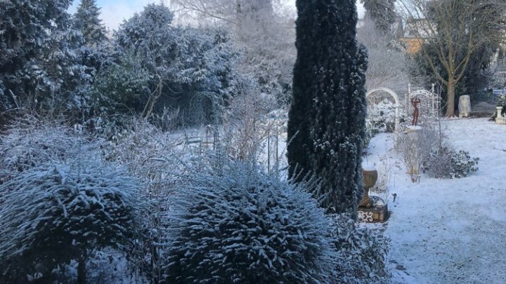 Sehr gepflegtes 2-Familienhaus mit Gartenparadies + Garage