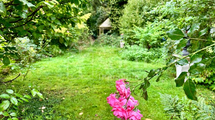 Charmante Liegenschaft ideal für Singles oder Paare - mit Garten, Terrasse, Balkon und Stellplatz