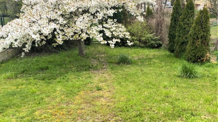 FREISTEHENDES EINFAMILIENHAUS, RUHIGE LAGE, CREUTZWALD/FR NÄHE SAARLOUIS
