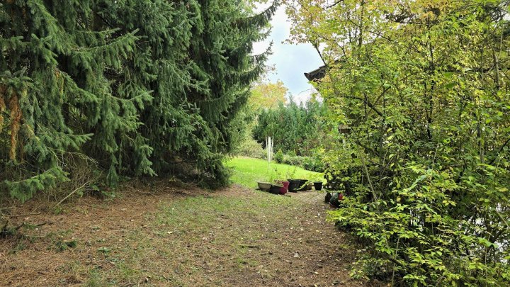 1-2 Familienhaus in Schmelz-Limbach, naturnah