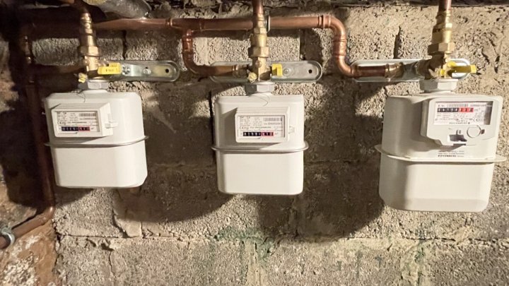 Charmantes, vermietetes 3-Familienhaus in idyllischer Waldrandlage