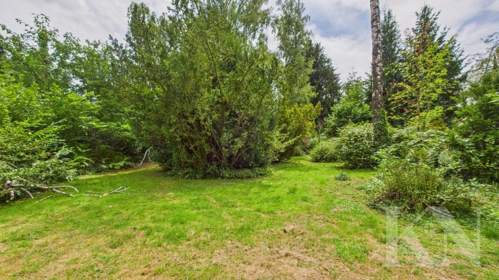 Attraktive Gelegenheit: Großes Grundstück in Riegelsberg – ideal für Familien oder Investoren!