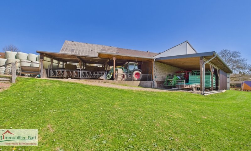 RENOVIERTER BAUERNHOF AUF 45 AR! / IDEAL FÜR TIERFREUNDE & HOBBYSCHRAUBER!