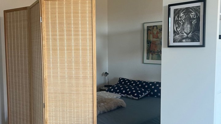 Neu renovierte möblierte 1,5 Zimmer Wohnung in Saarbrücker Innenstadt zu verkaufen