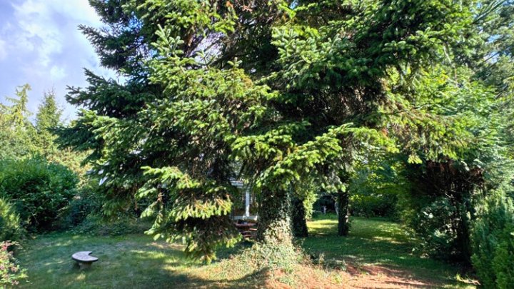 Freistehender Bungalow mit Garten + Garage - ca. 254m² Gesamtfläche