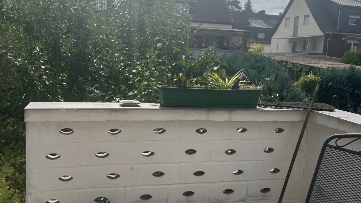 Wieder im Angebot!!!! Freistehendes 1-Familienhaus in zentraler Lage von Lebach zu verkaufen