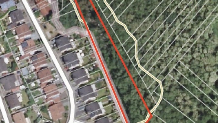 Großes Waldgrundstück in Dillingen - Naturfläche mit Zukunftspotential zu verkaufen