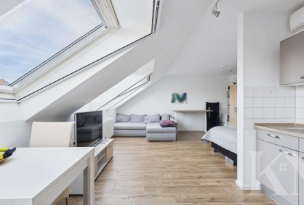 Wohnbereich / Küche