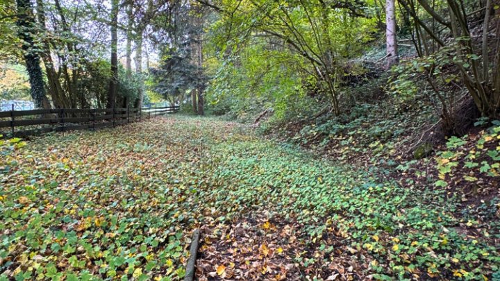 2-Familienhaus mit Bauplatz in guter Lage von Fechingen
