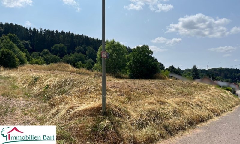 11 AR BAUGRUNDSTÜCK IN TOP LAGE IN DER NÄHE VON LOSHEIM!