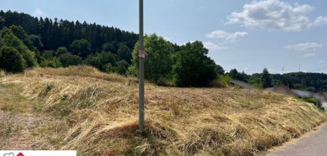 Blickrichtung von links