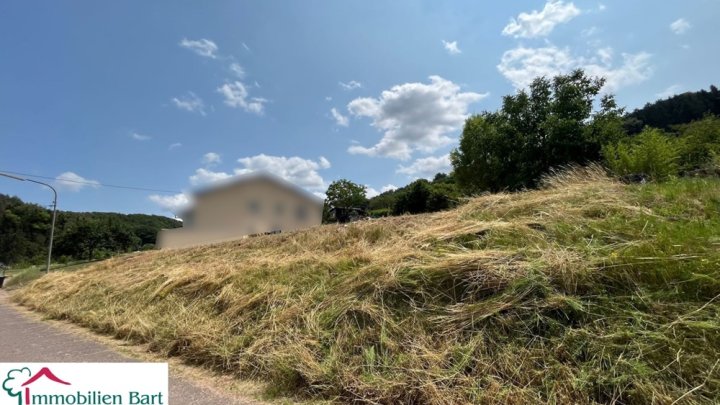 11 AR BAUGRUNDSTÜCK IN TOP LAGE IN DER NÄHE VON LOSHEIM!