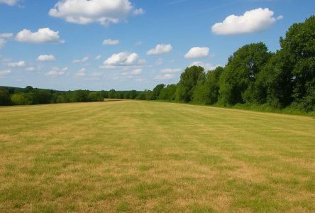 WhatsApp Bild 2025-12-08 um 13.04.48_d55fe403