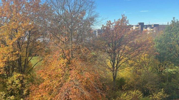 Neu renovierte möblierte 1,5 Zimmer Wohnung in Saarbrücker Innenstadt zu verkaufen