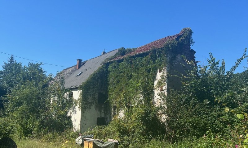 Großes schön gelegenes Grundtsück nahe an der Prims in Wadern-Büschfeld zu verkaufen