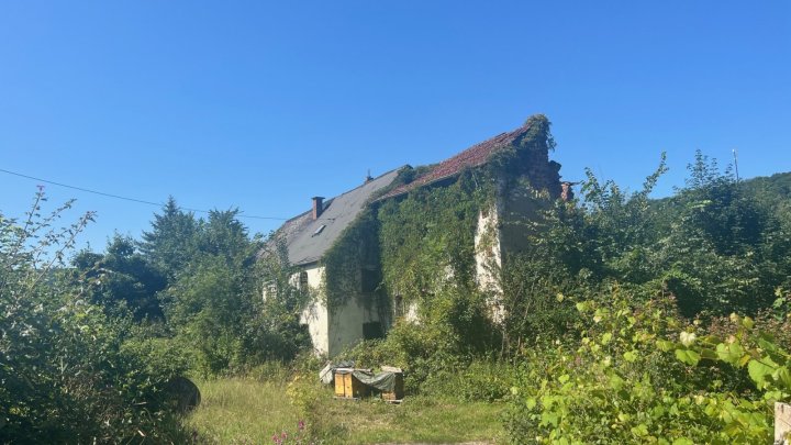 Großes schön gelegenes Grundtsück nahe an der Prims in Wadern-Büschfeld zu verkaufen
