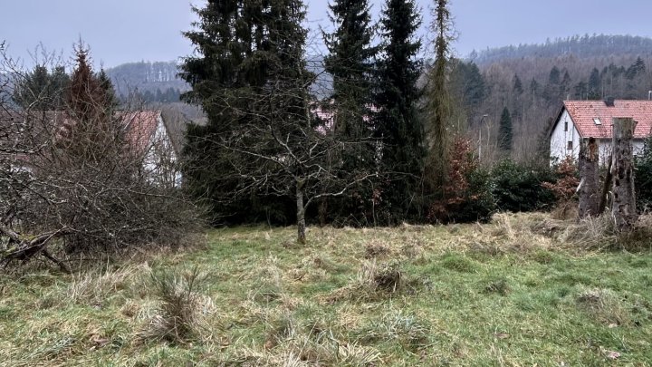 Baugrundstück in Waldrandlage in St. Ingbert-Reichenbrunn zu verkaufen