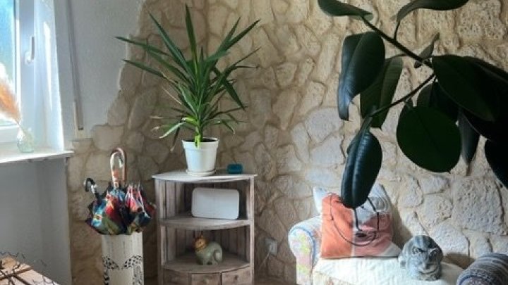 Ein Raumwunder!! Freistehendes 2-3 Familienhaus in ländlicher Gegend von Rehlingen-Siersburg zu verkaufen -Nähe Frankreich-