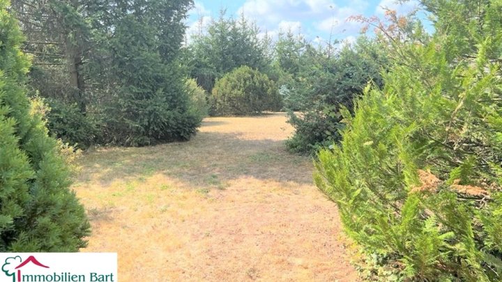 WOHNHAUS + BÜRO + 375 M² AUSSTELLUNG AUF 40 AR IN TOP LAGE!