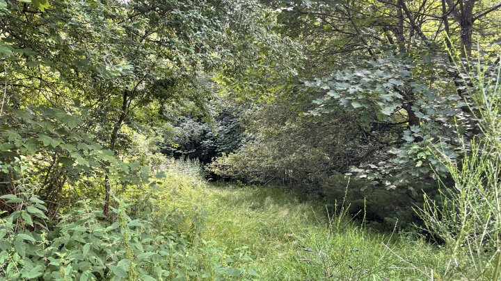 Wochenendhaus in Hilst