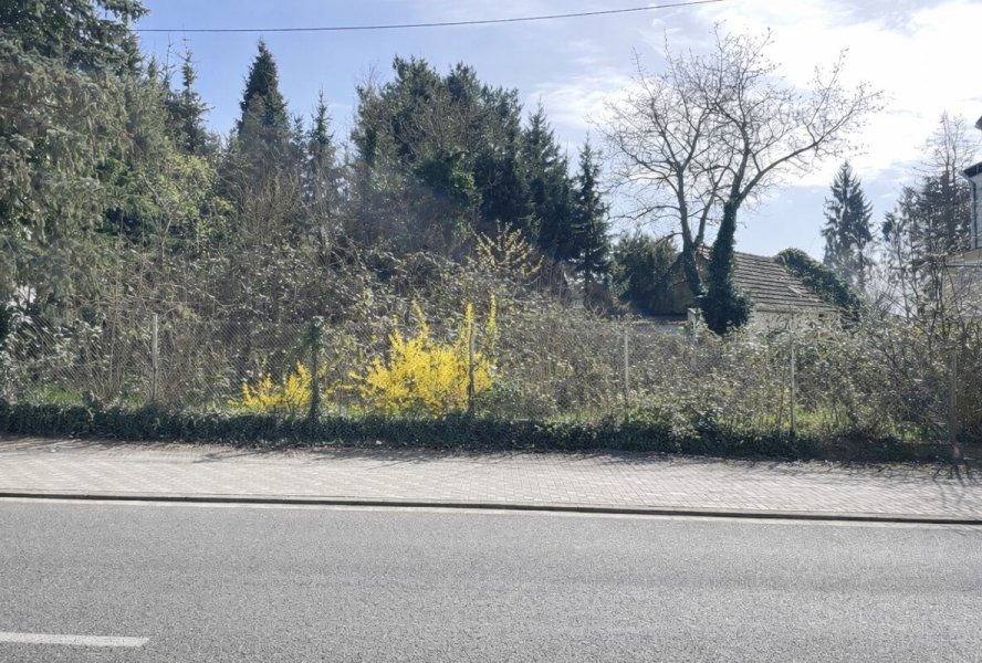 d5ebe89d-0d20-46c8-a261-1650e5f0fa8c