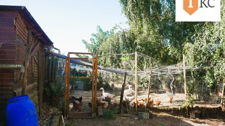 Renoviertes Einfamilienhaus in Hermeskeil – Großzügiges Familienheim mit Terrasse und großem Garten !!