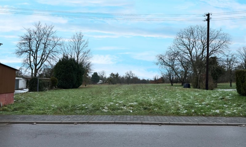 33 AR! BAUGRUNDSTÜCK IN PERL-BESCH MIT ALTBESTAND