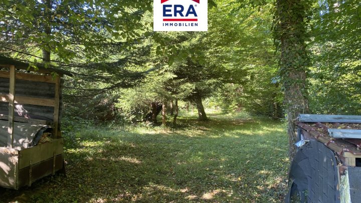 OHNE VERMITTLUNGSGEBÜHREN! FERIENHAUS MIT BOOTSHAUS UND BOOTSSTEG AM STOCKWEIHER/FR