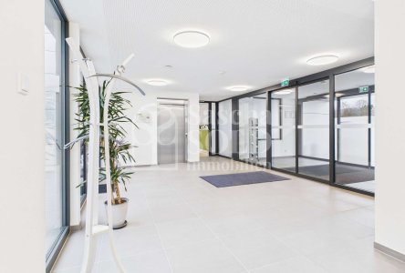 EG - Eingangsbereich