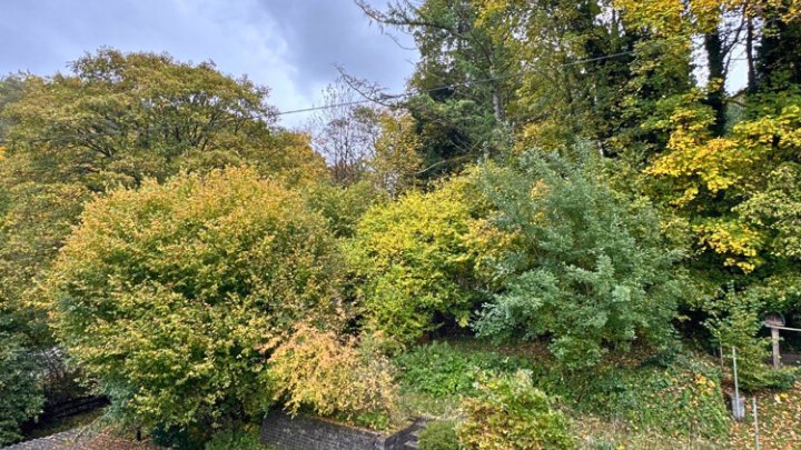 2-3 Familienhaus mit Bauplatz in guter Lage von Fechingen