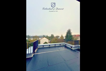 Dachterrasse DG