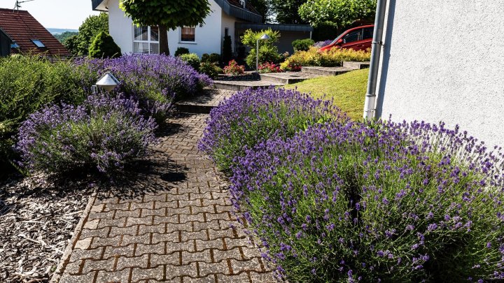 Großzügiges Architektenhaus mit Einliegerwohnung und Weitblick über das Saartal zu verkaufen
