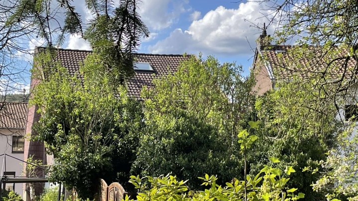 Einfamilienhaus mit Extras in Saarbrücken-Güdingen
