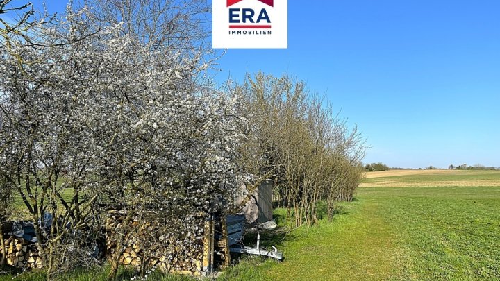 PROVISIONSFREI- BUNGALOW, RUHIGE TRAUMLAGE IN DIEBLING/FR