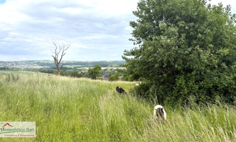 EBENES GRUNDSTÜCK MIT TOLLER FERNSICHT U. PLÄNEN FÜR EIN ARCHITEKTENHAUS!