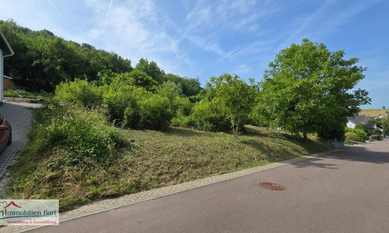 10 MIN. VON REMICH: 13 AR,/ 24 METER BREIT / SOFORT BEBAUBAR!