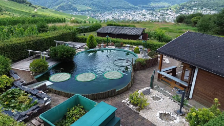 Wohnen über der Mosel: Modernisiertes Doppelangebot mit großem Grundstück