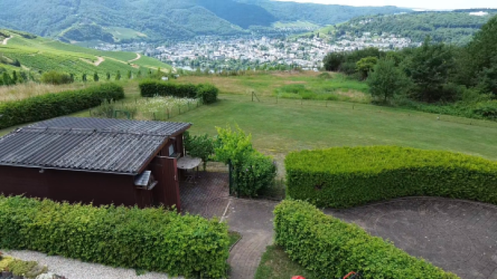 Wohnen über der Mosel: Modernisiertes Doppelangebot mit großem Grundstück