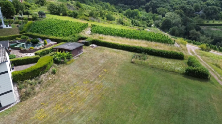 Wohnen über der Mosel: Modernisiertes Doppelangebot mit großem Grundstück