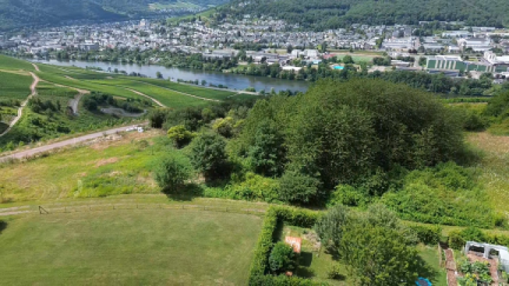 Wohnen über der Mosel: Modernisiertes Doppelangebot mit großem Grundstück