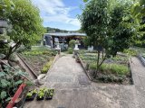 Garten 2