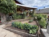Garten - Ansicht zur Terrasse