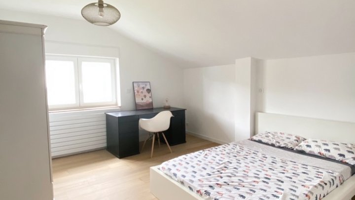 Luxuriös saniertes freistehendes Familiendomizil auf großem Grundstück in Spicheren